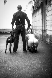 2025 01 01_67756bacf0596_2501841282